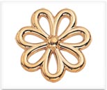 spring snap fastener